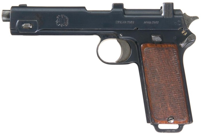 1845s Steyr